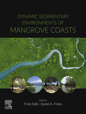 cover image of Dynamic Sedimentary Environments of Mangrove Coasts